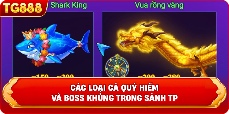 Các loại cá quý hiếm và Boss khủng trong sảnh TP 