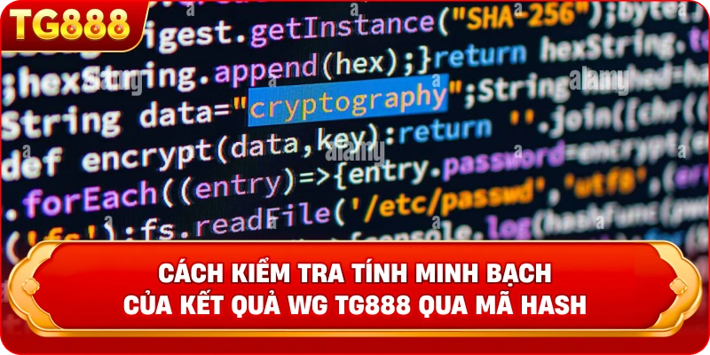 Cách kiểm tra tính minh bạch của kết quả WG TG888 qua mã Hash