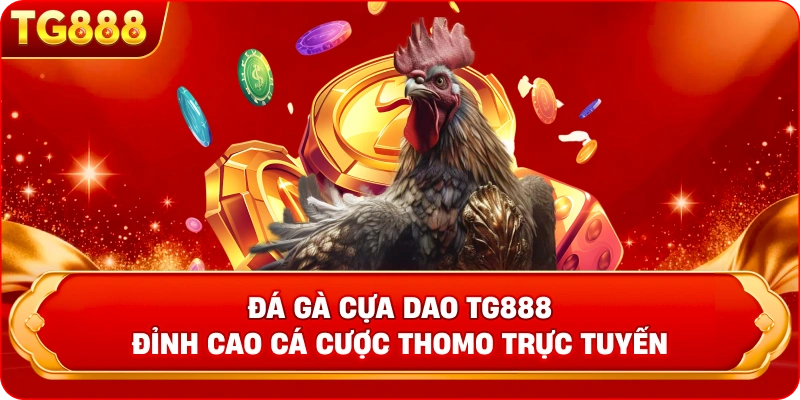 Đá gà cựa sắt TG88 - Đỉnh Cao Cá Cược Thomo Trực Tiếp