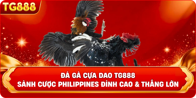 Đá Gà Cựa Dao TG888 – Trực Tiếp Philippines