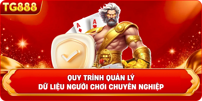 Quy trình quản lý dữ liệu người chơi chuyên nghiệp Quy trình xử lý dữ liệu theo Chính Sách Bảo Mật TG888